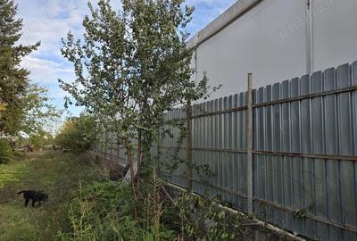 Teren de 9970 mp, în Chirnogi - 3