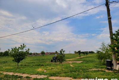 Domeniu, 9,5 ha, 25 KM de Timisoara - 13