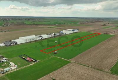 Teren de 11000 mp, în Apateu