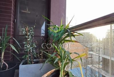 Apartament cu 3 camere decomandat, mobilat în Băneasa - 25