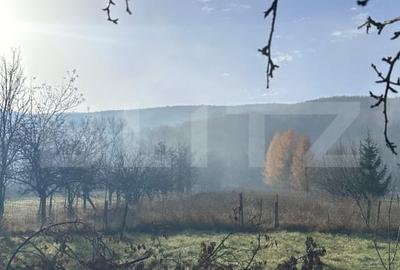 Casa de vacanta de vanzare, in Lisnau - Comuna Ozun - 2