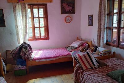 Cabana la Colibita , P+ M -100 mp , 830 mp teren - 3