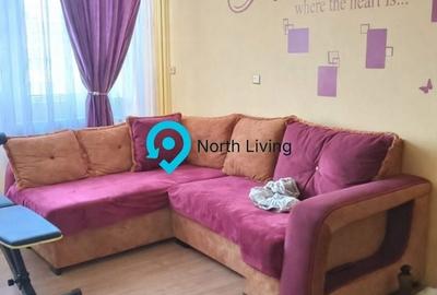 Apartament cu 2 camere, mobilat în Alexandru Obregia - 22