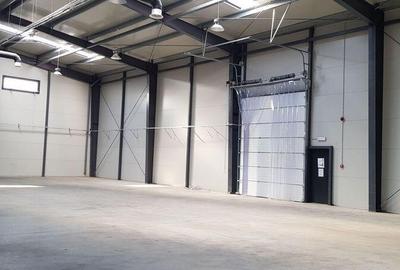 Spațiu comercial, de 736 mp, în Mogoșoaia - 2