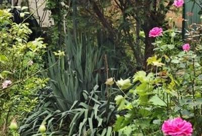Apartament cu gradina, incalzire pardoseala. ZONA CONSULATELOR! - 52
