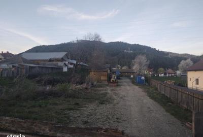 Spațiu comercial, de 5,456 mp, în Pângărați - 3