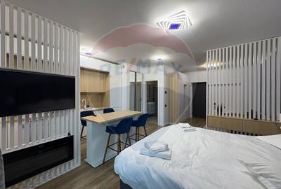 Studio luminos,55 mp, 2022 + parcare, Sinaia, introdus regim hotelier - 2