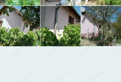 Casă cu Teren 650 Mp în Gării - 4