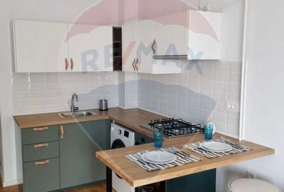 Apartament/Studio de inchiriat Aviatiatiei Park - 6