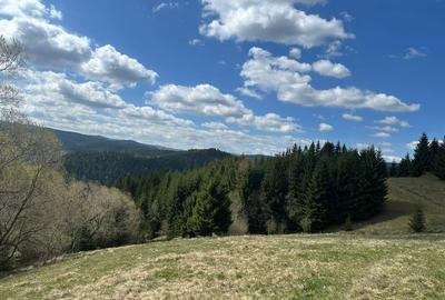 Spațiu comercial, în Măguri - 2