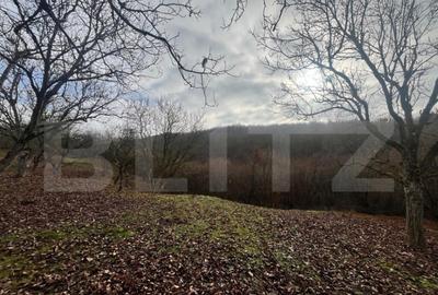 Teren extravilan, 4 hectare, langa livada de mere Ghinda - 4