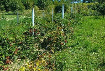 Vand casa cu teren - 1