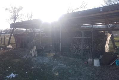 Casă în Telești - 5