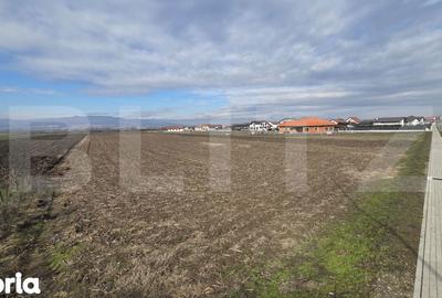 Teren de 14300 mp, în Ciugud - 4