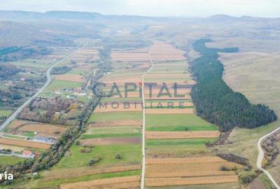 Teren de 200000 mp, în Gilău - 1