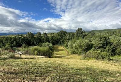 Spațiu comercial, în Ciula Mare - 5