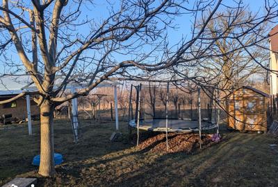 Casă cu 4 camere cu Teren 1750 Mp în Central - 10