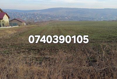 Teren 1950 mp Sorogari - 6