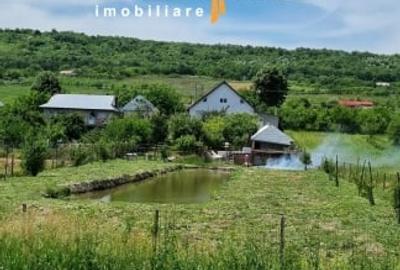 Ocazie - Casa individuala D+P+M 170 mp + 2400 mp teren cu IAZ la asfalt, Osoi - 1