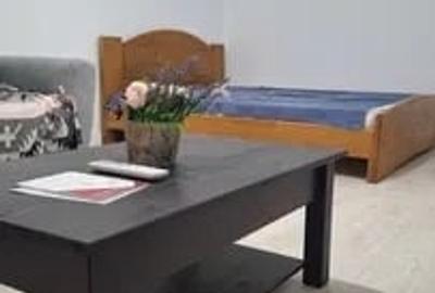 Apartament cu 1 camera, LOC DE PARCARE INCLUS, zona Tatarasi - 4