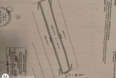 Spațiu comercial, în Limanu - 3