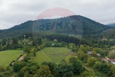 Teren de 3175 mp, în Poiana Angelescu - 17