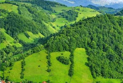 Spațiu comercial, de 1,200 mp, în Drumul Carului - 6