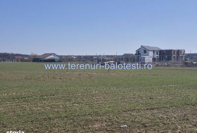 Spațiu comercial, în Balotești - 3