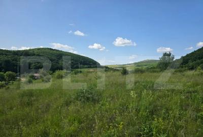 Teren de 3800 mp, în Iris - 5