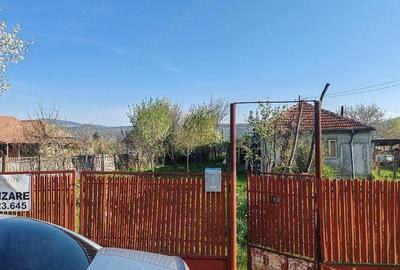 Casă cu Teren 5000 Mp în Unguriu - 10