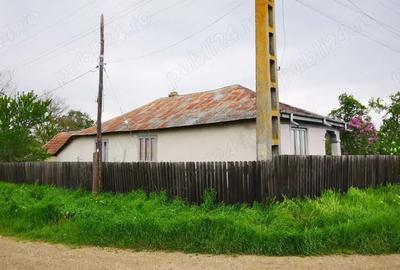 Vand casa batraneasca cu 2200 mp teren intravilan in Bordeasca Veche, Vrancea - 5