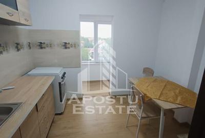 Apartament cu 2 camere decomandat în Lipovei
