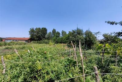 Casă individuală cu 2 camere cu Teren 1465 Mp în Vest - 11