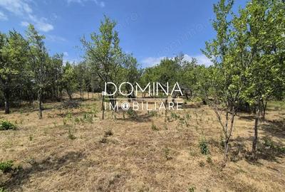 Casă cu 2 camere cu Teren 5209 Mp în Mușetești - 10