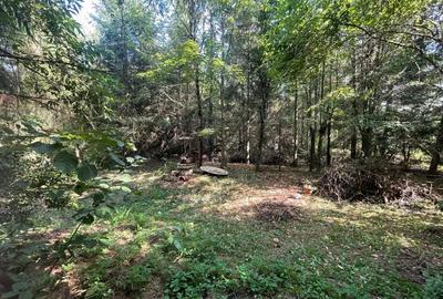 De vanzare casa cu teren intravilan Ro?ia Noua, comuna Petri?, jud. Arad - 9