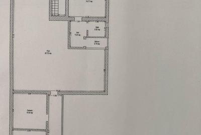 Casă individuală cu 9 camere cu Teren 3763 Mp în Peciu Nou - 34