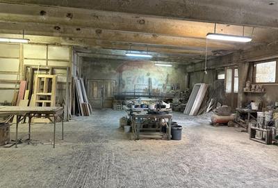 Spațiu comercial, de 445 mp, în Izvoare (Dumbrava Roșie) - 3