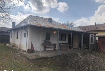 Casă cu 3 camere cu Teren 1768 Mp în Drajna - 18