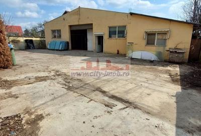 Inchiriere Spatiu Comercial Stradal Mogosoaia - 2