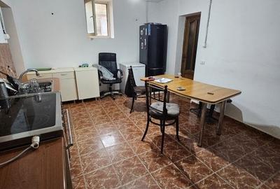 Giarmata  Mare – Casa 4 Camere – Central – Teren - 10