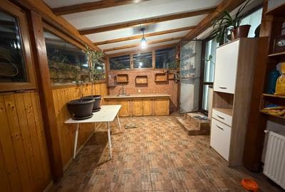 Casă individuală cu 3 camere cu Canalizare în Dobroești - 16