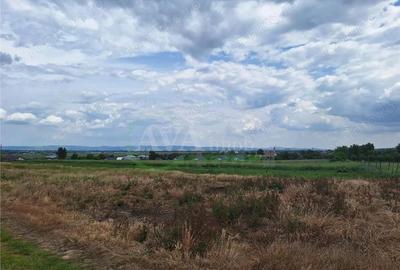 Teren de 2700 mp, în Central
