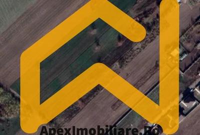 Teren Construcții intravilan de 1588 mp, în Cernica - 1