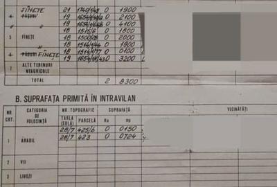 Teren de 29463 mp, în Vătava - 6