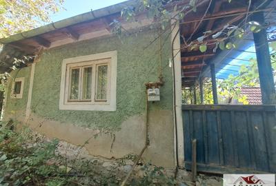 Vanzare casa in Zlatna - 8