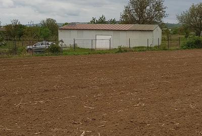 Teren de 20000 mp, în Almăj - 3