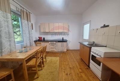 Doua case de vanzare in aceeasi curte, in zona Sub Arini - 17