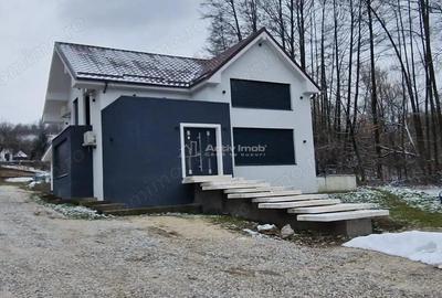 Casă cu Teren 1400 Mp în Calea Caransebeșului - 17
