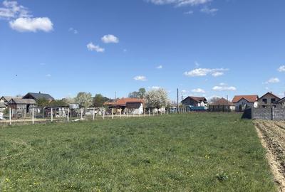 Teren de 2000 mp, în Micula - 3