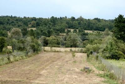 Casa de vacan?a, Brestova? Casa de vacan?a, Brestova? - 15